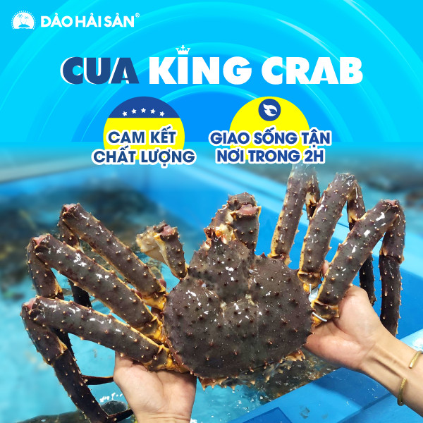Cung King Crab 12/2021